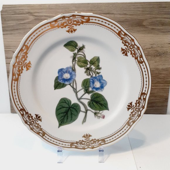 Andrea by Sadek, Golden Botanical by Robert Sweet 1824 London Plate 10 1/2"- - Picture 7 of 8